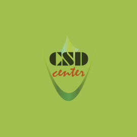 CSD-Consulting