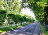 Мы обязаны вернуть Алматы репутацию "зеленого" города - президент